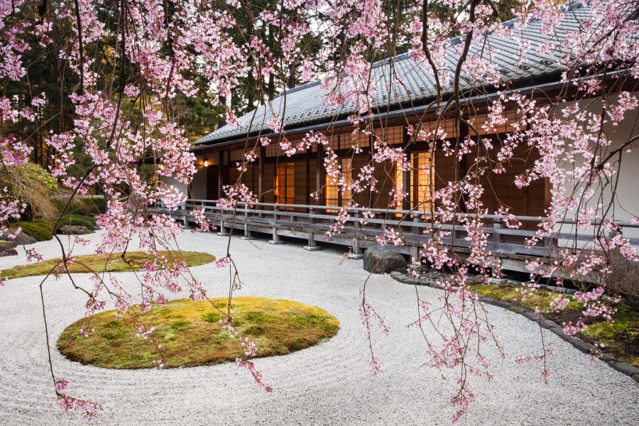 Flat Garden and Pavilion from Beneath the Weeping Cherry. Photo by Joanthan Ley, courtesy Oregon Japanese Garden