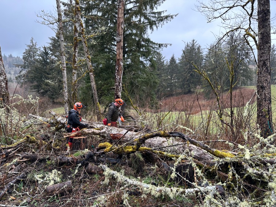 Team Rubicon volunteers spent eight days in Otis, Ore. in March 2023 to help with ongoing wildfire recovery efforts in the small town. Photo courtesy Felicia Heaton/Team Rubicon