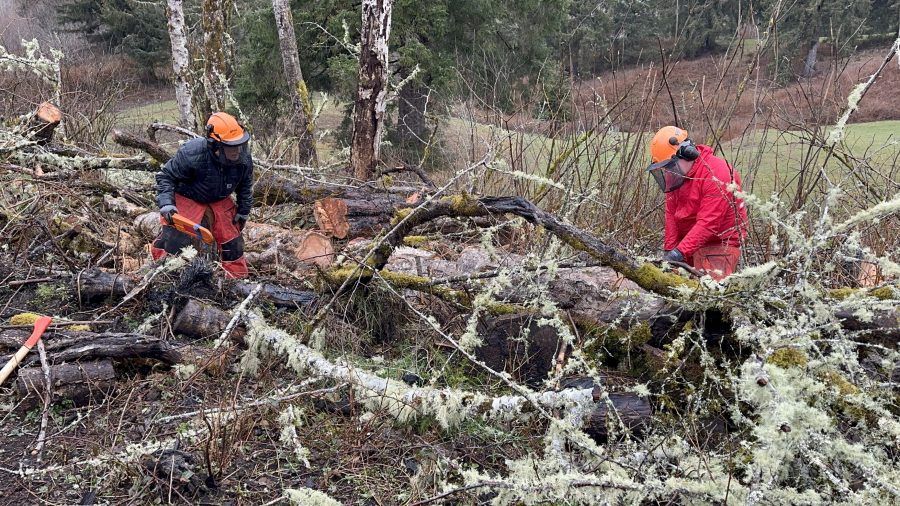 Team Rubicon volunteers work to remove hazardous trees near Otis in March 2023. Photo courtesy Felicia Heaton/Team Rubicon