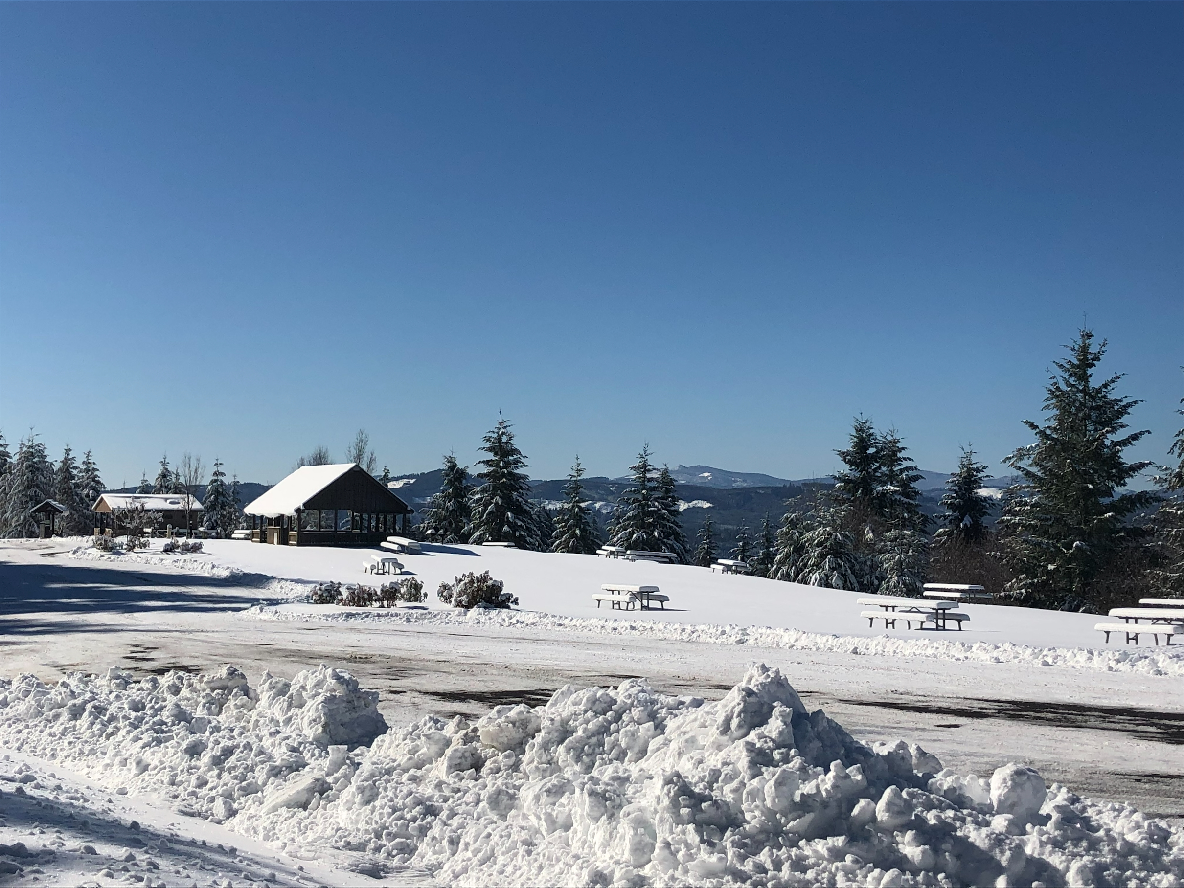 Parts of L.L. Stub Stewart State Park had up to a foot and a half of snow on March 1, 2023. Photo courtesy Aaron Raines