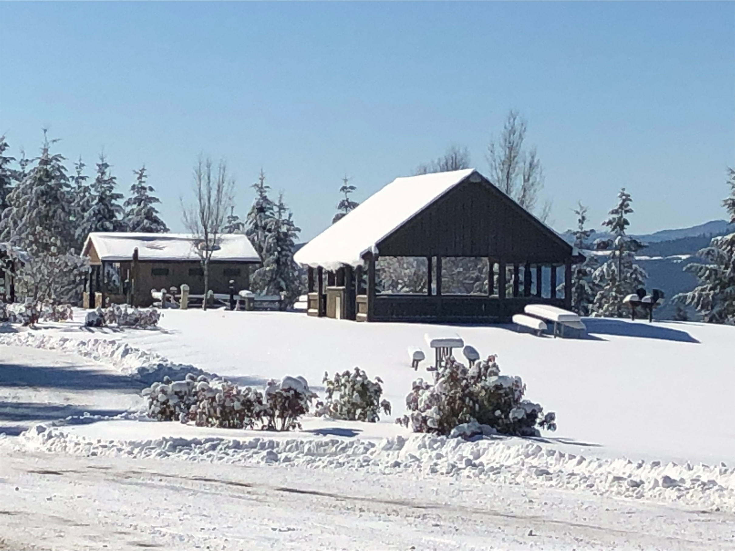 Parts of L.L. Stub Stewart State Park had up to a foot and a half of snow on March 1, 2023. Photo courtesy Aaron Raines