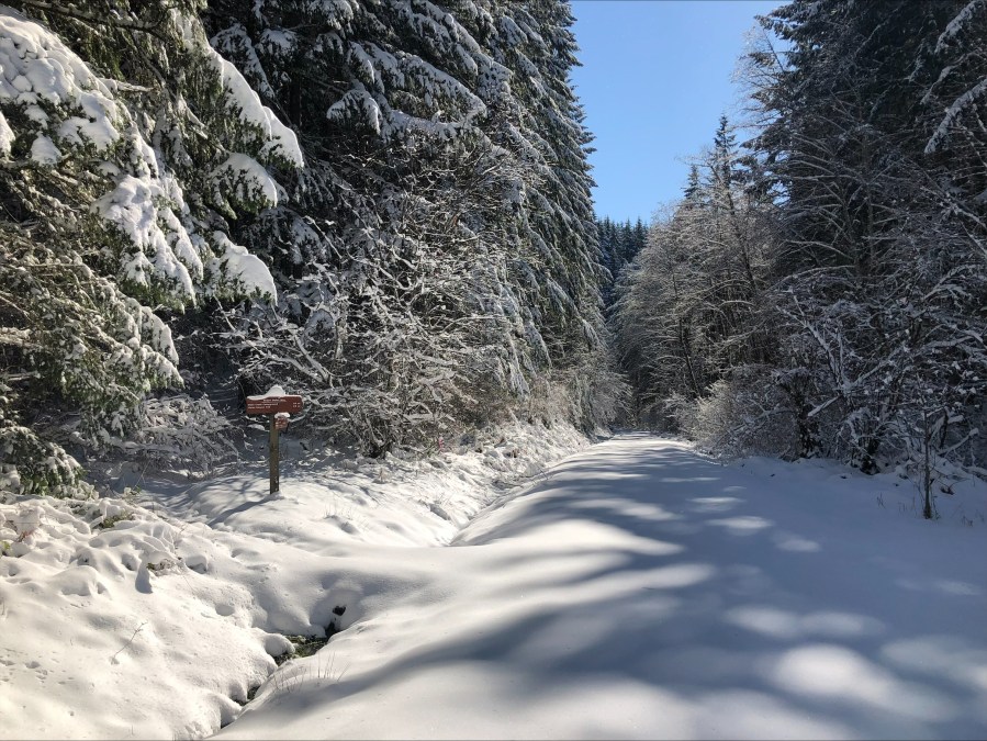 Parts of L.L. Stub Stewart State Park had up to a foot and a half of snow on March 1, 2023. Photo courtesy Aaron Raines