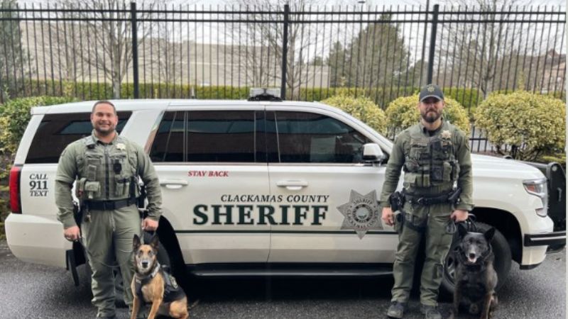 Two Clackamas County K9s, Abbie and Coda, were recently certified to detect fentanyl, March 4, 2023 (CCSO)