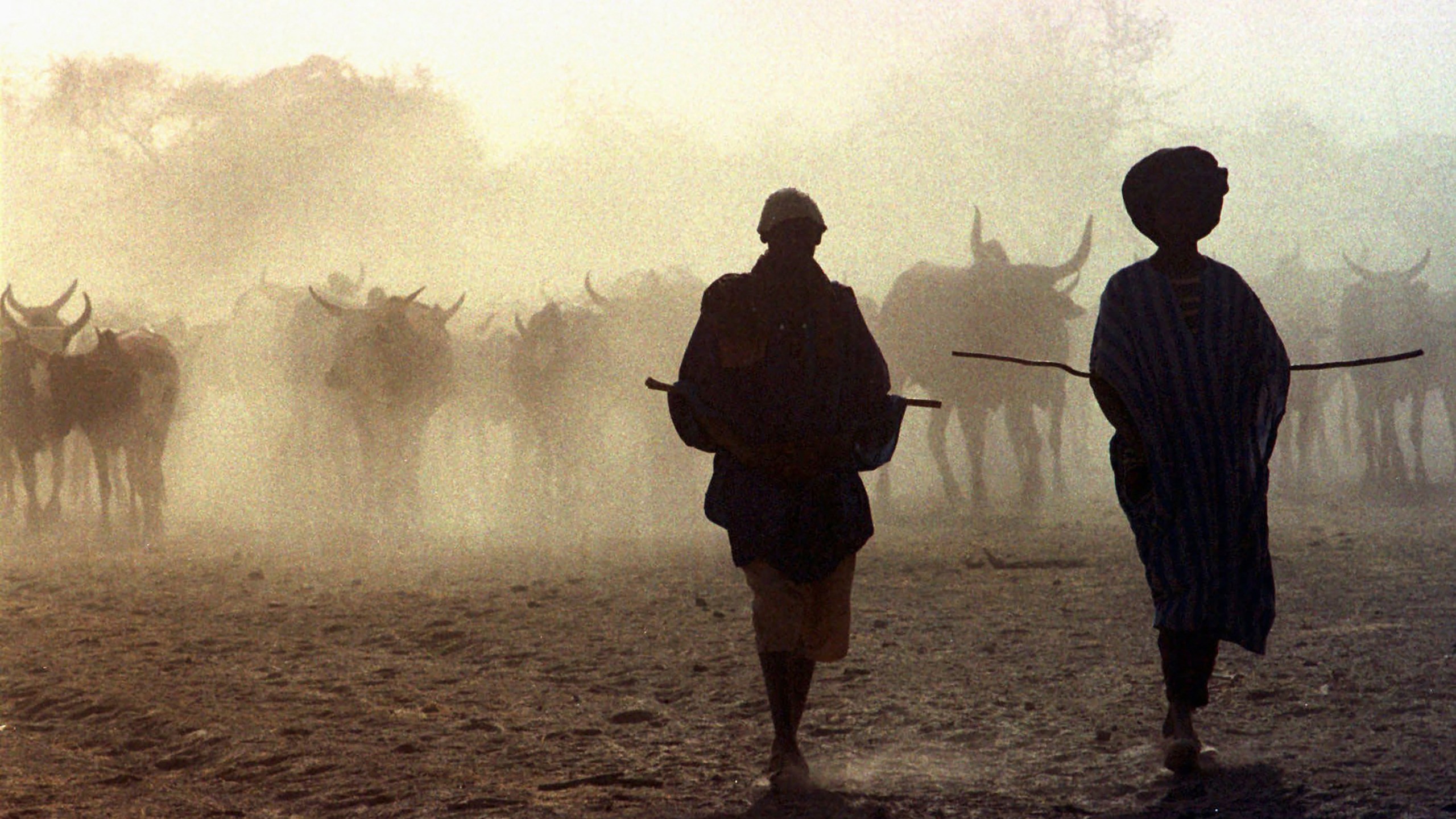 FILE - Tuareg clansmen are silhouetted as they herd cattle in the land between Koygma and Timbuktu, in northern Mali, March 1997. In 2023, Cattle raiding by Islamic extremists is soaring at unprecedented levels in Mali, with jihadis linked to al-Qaida and the Islamic State group stealing millions of dollars worth of cattle to buy weapons and vehicles to fund their insurgency across the war-torn West African country and region below the Sahara Desert, known as the Sahel. (AP Photo/Jerome Delay, File)