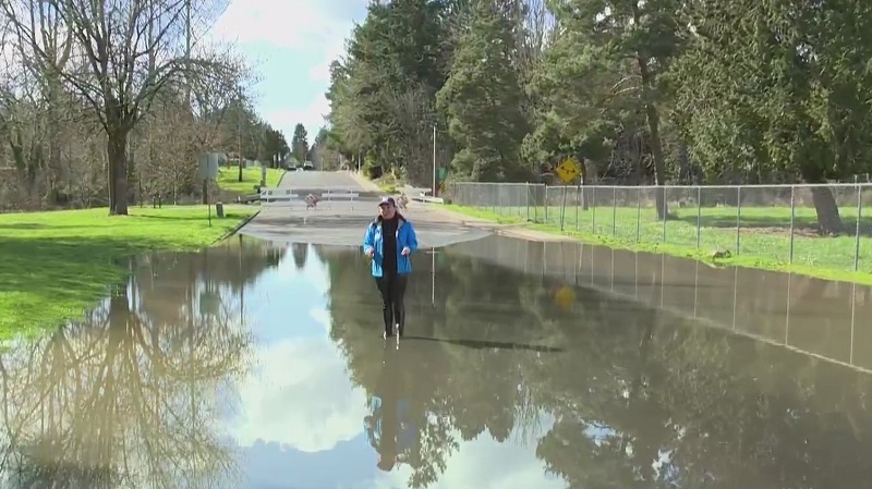 KOIN 6 News reporter Liz Burch stands in the water of flooded Rock Creek Boulevard, April 11, 2023 (KOIN)