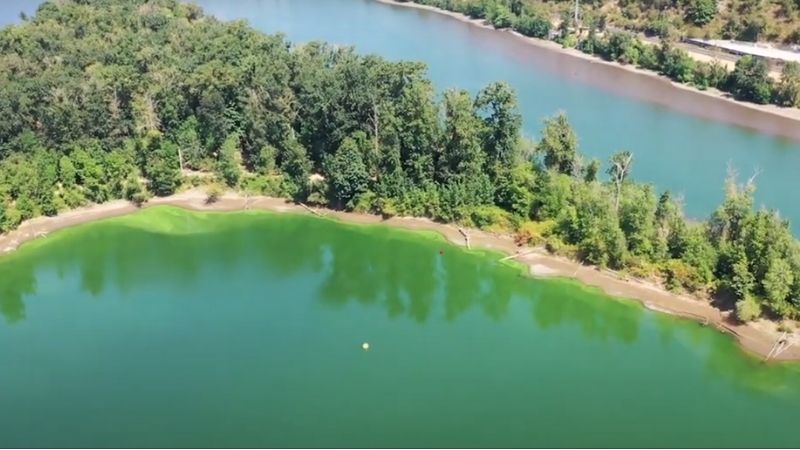 Oregon DEQ facing lawsuit over conditions at Ross Island Lagoon