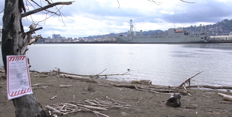 An area north of the Fremont Bridge along the Willamette River called Lindbergh's Beach, April 2023 (KOIN)