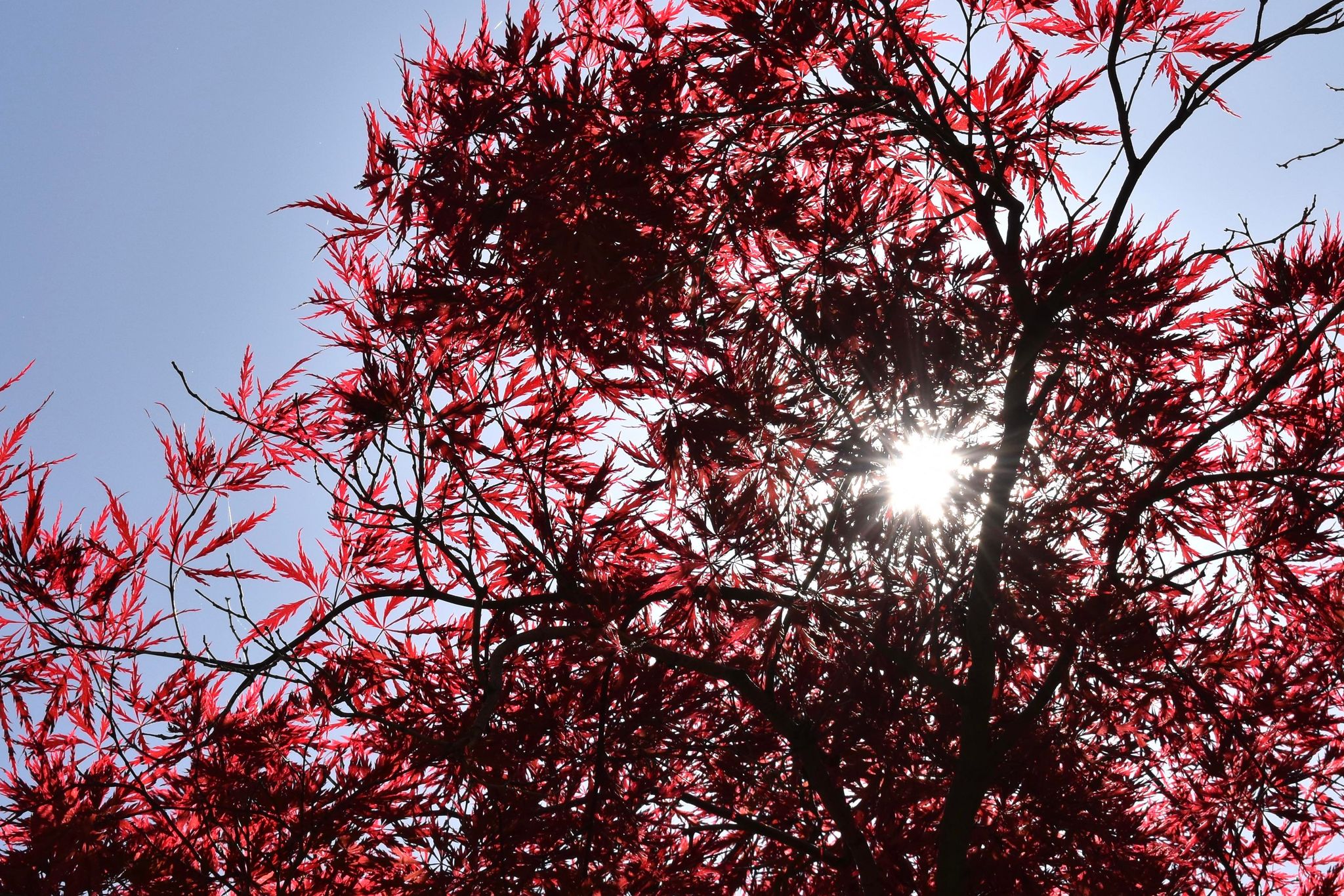 Sunny skies seen over Portland as seen by KOIN 6 Meteorologist Josh Cozart