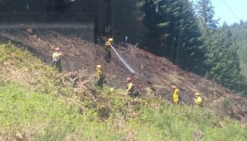 Fire crews dousing a vegetation fire near Timber Road and Highway 6 in Banks, May 14, 2023 (Donna Linz/Banks Fire)