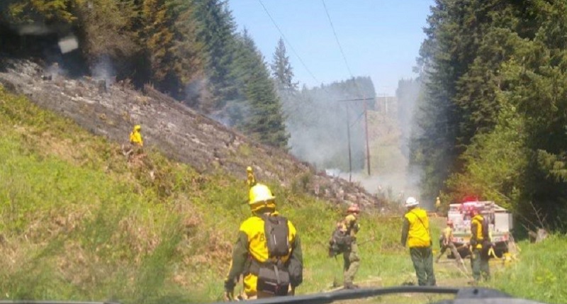 Fire crews dousing a vegetation fire near Timber Road and Highway 6 in Banks, May 14, 2023 (Donna Linz/Banks Fire)