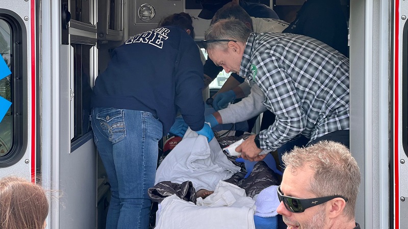 Search and rescue crews found a missing 2-year-old laying in tall grass west of Molalla not far from her home, May 7, 2023 (Clackamas County Sheriff's Office)