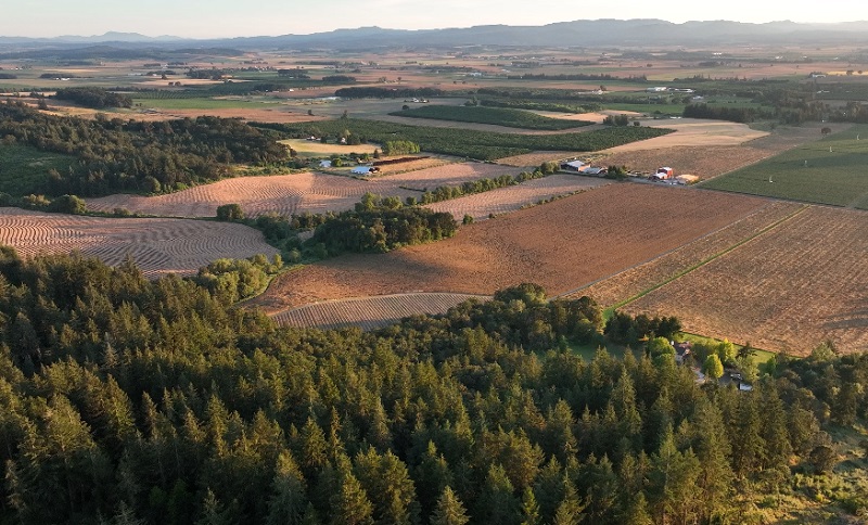 A drone view of Corollary Wines in Newberg (Courtesy photo)