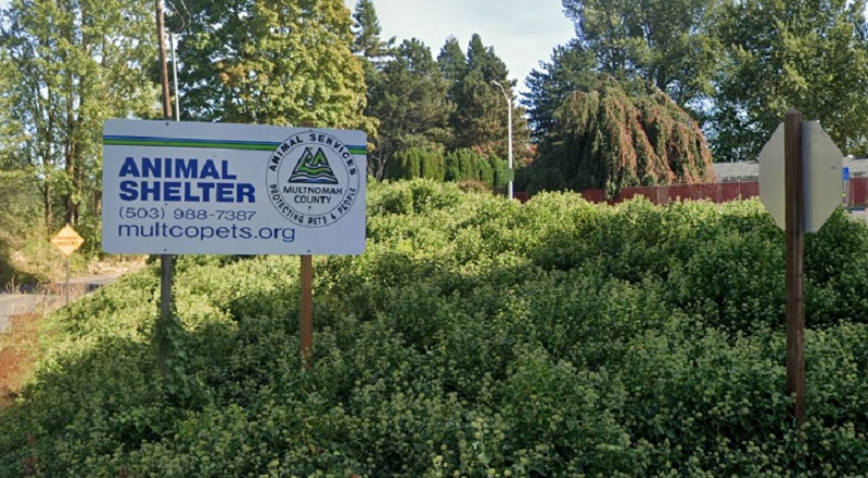 The Multnomah County Animal Shelter in Troutdale, as seen on their website May 6, 2023