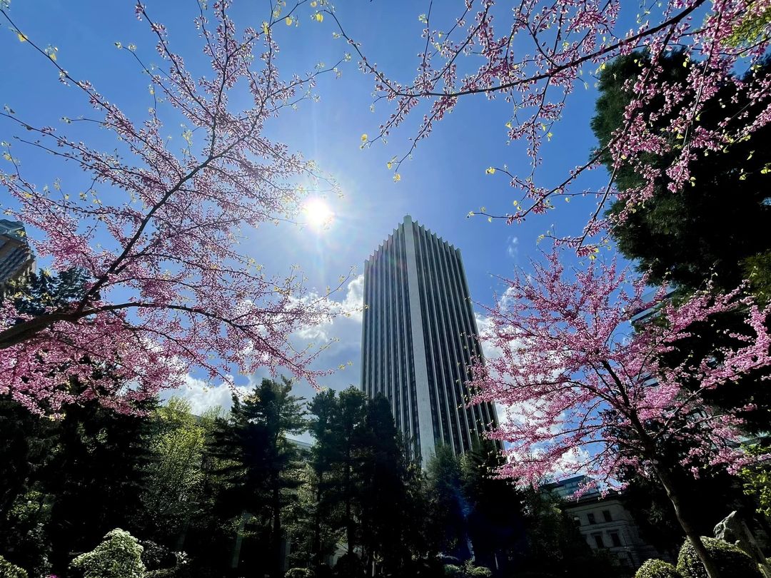 Sunny spring day in May in downtown Portland (Photo by: KOIN 6 Meteorologist Josh Cozart)