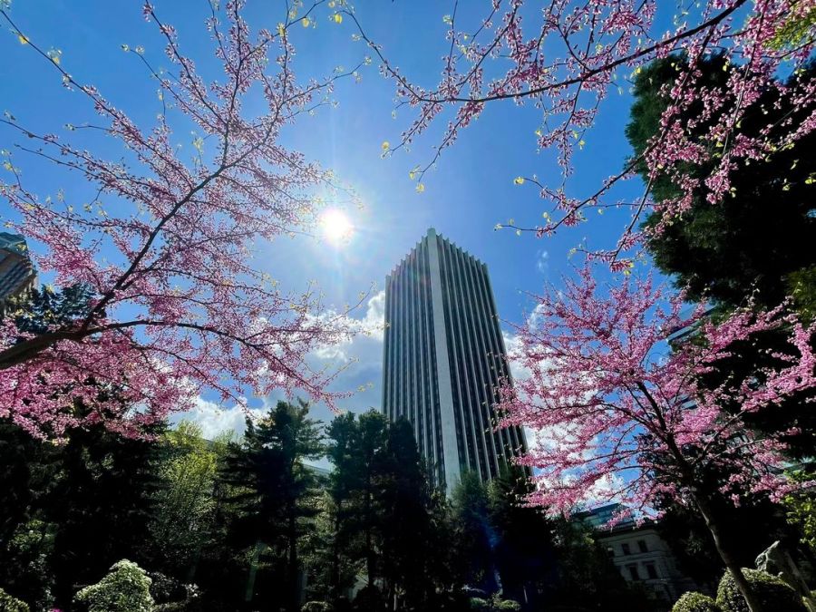 Sunny spring day in May in downtown Portland (Photo by: KOIN 6 Meteorologist Josh Cozart)